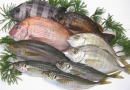 C-02 旬の新鮮地魚鮮魚セット C-02 旬の新鮮地魚鮮魚セット