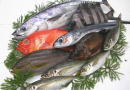 C-03 旬の高級地魚鮮魚セット C-03 旬の高級地魚鮮魚セット